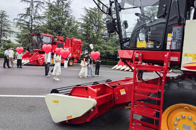 LETOU - 乐投(中文)官方网站